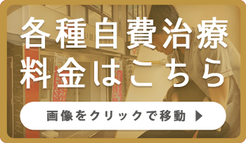 各種自費治療料金